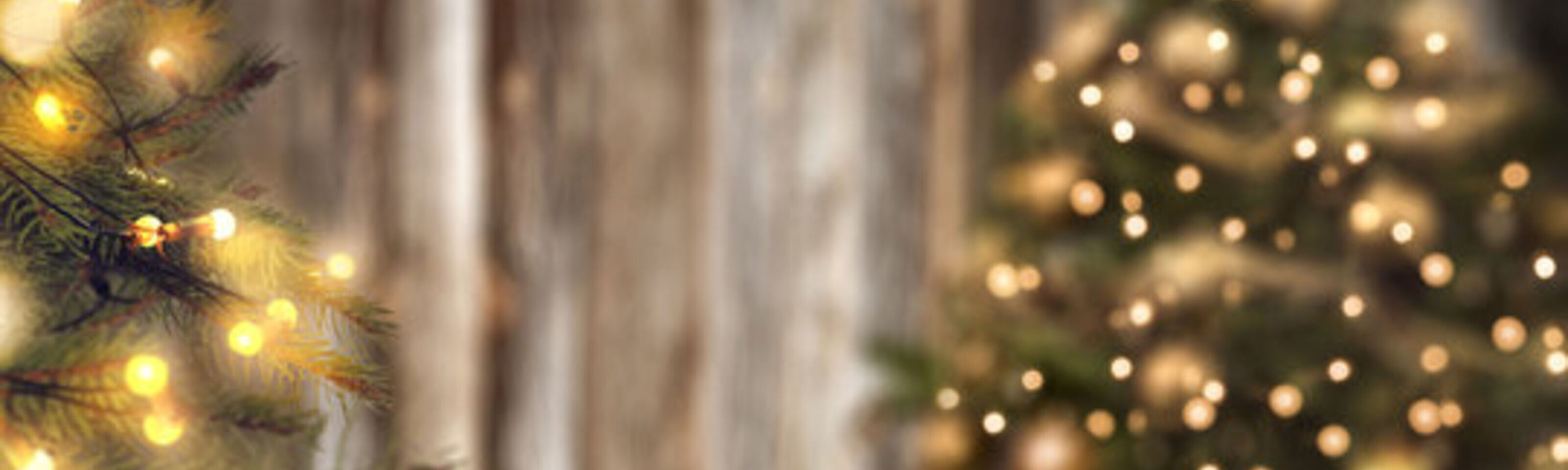 HASSRA South West Festive Fun and Free