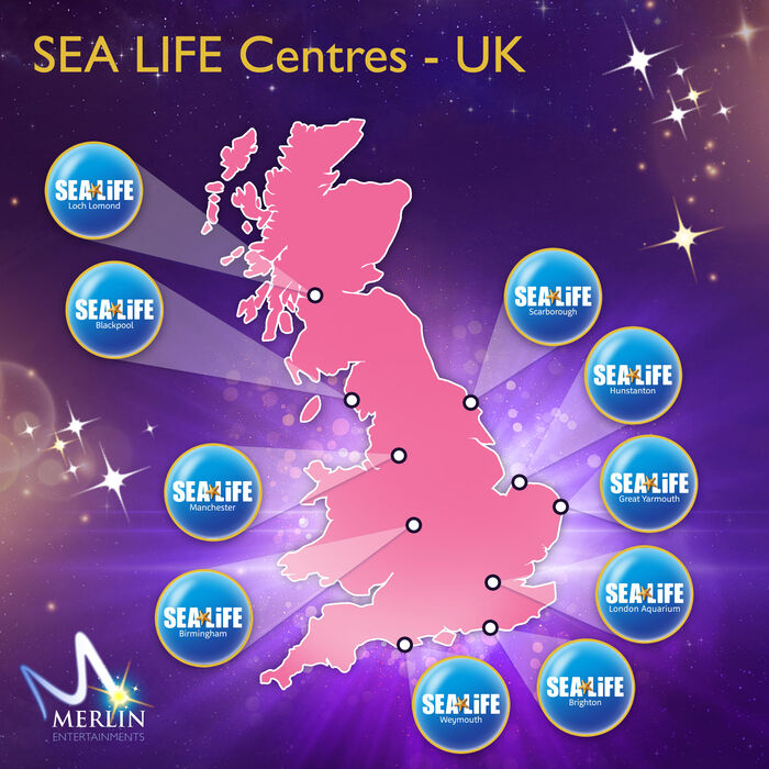 New Merlin world map - SEA LIFE UK (square)