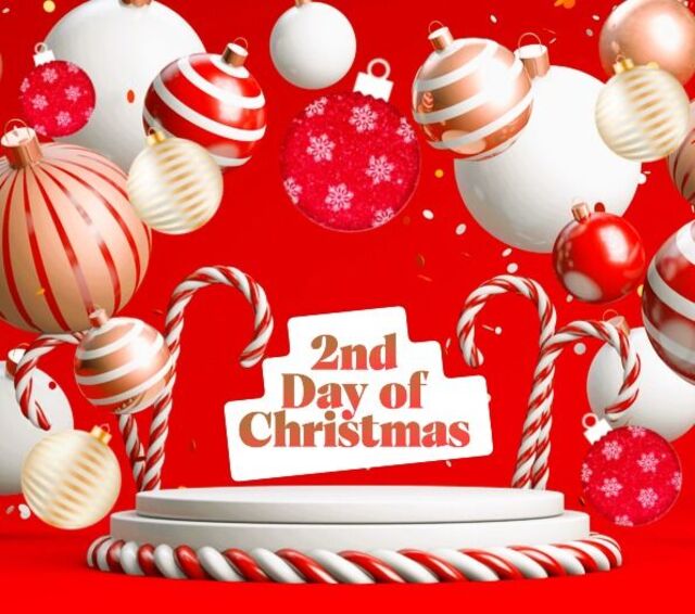2nd Day of Christmas