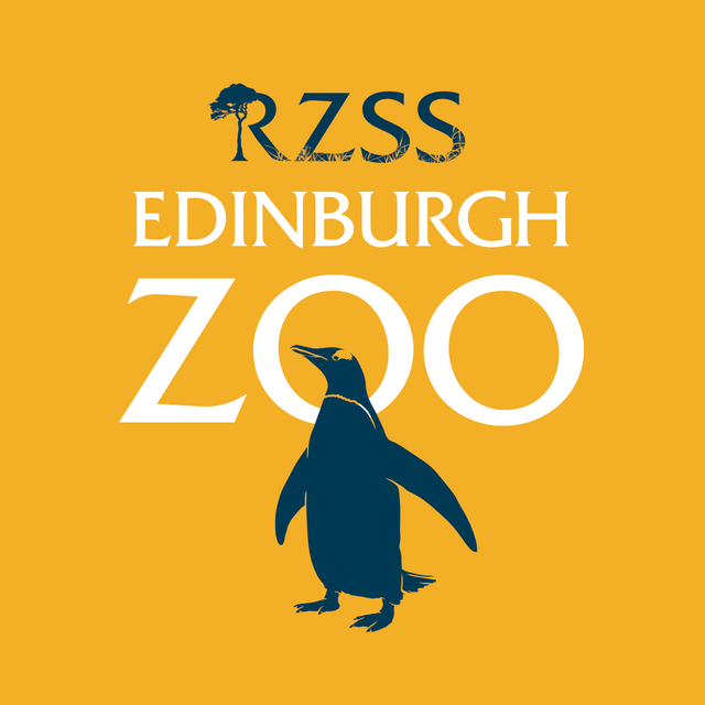 Win four Edinburgh Zoo Tickets