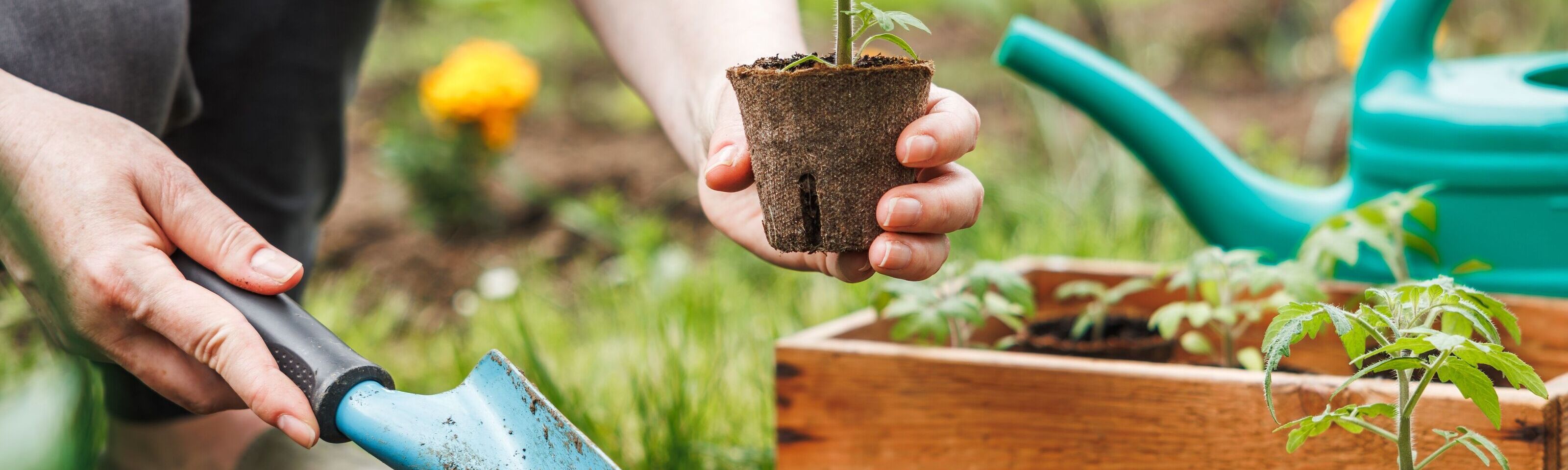 HASSRA The Great Garden Giveaway Competition