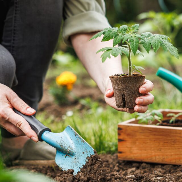 HASSRA The Great Garden Giveaway Competition