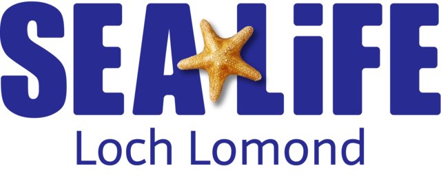 Win 4 Tickets to Sea Life Loch Lomond Aquarium Centre