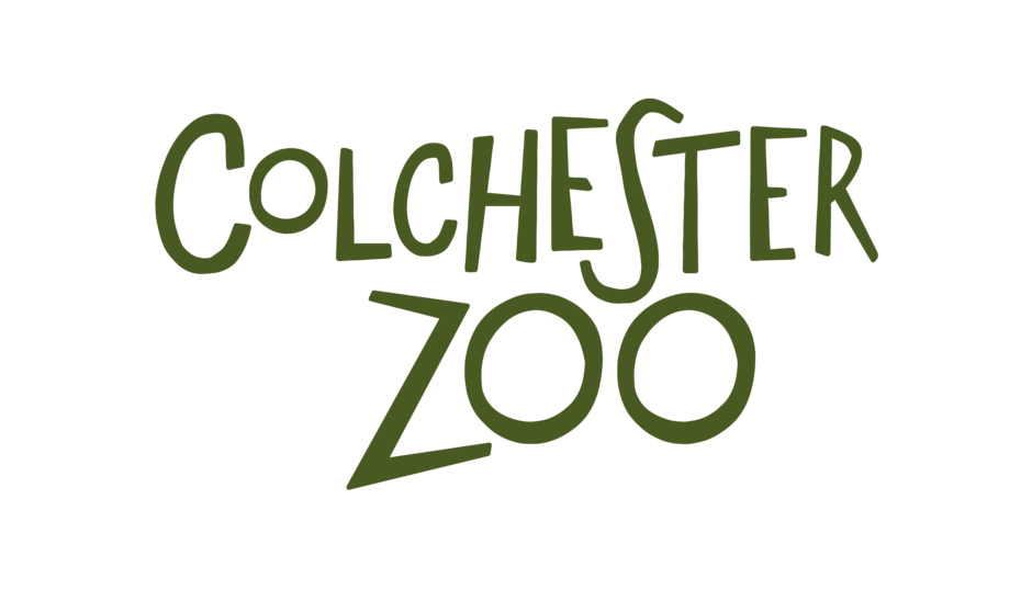 zoo colchester logo shipping containers instantprint storage adult case website