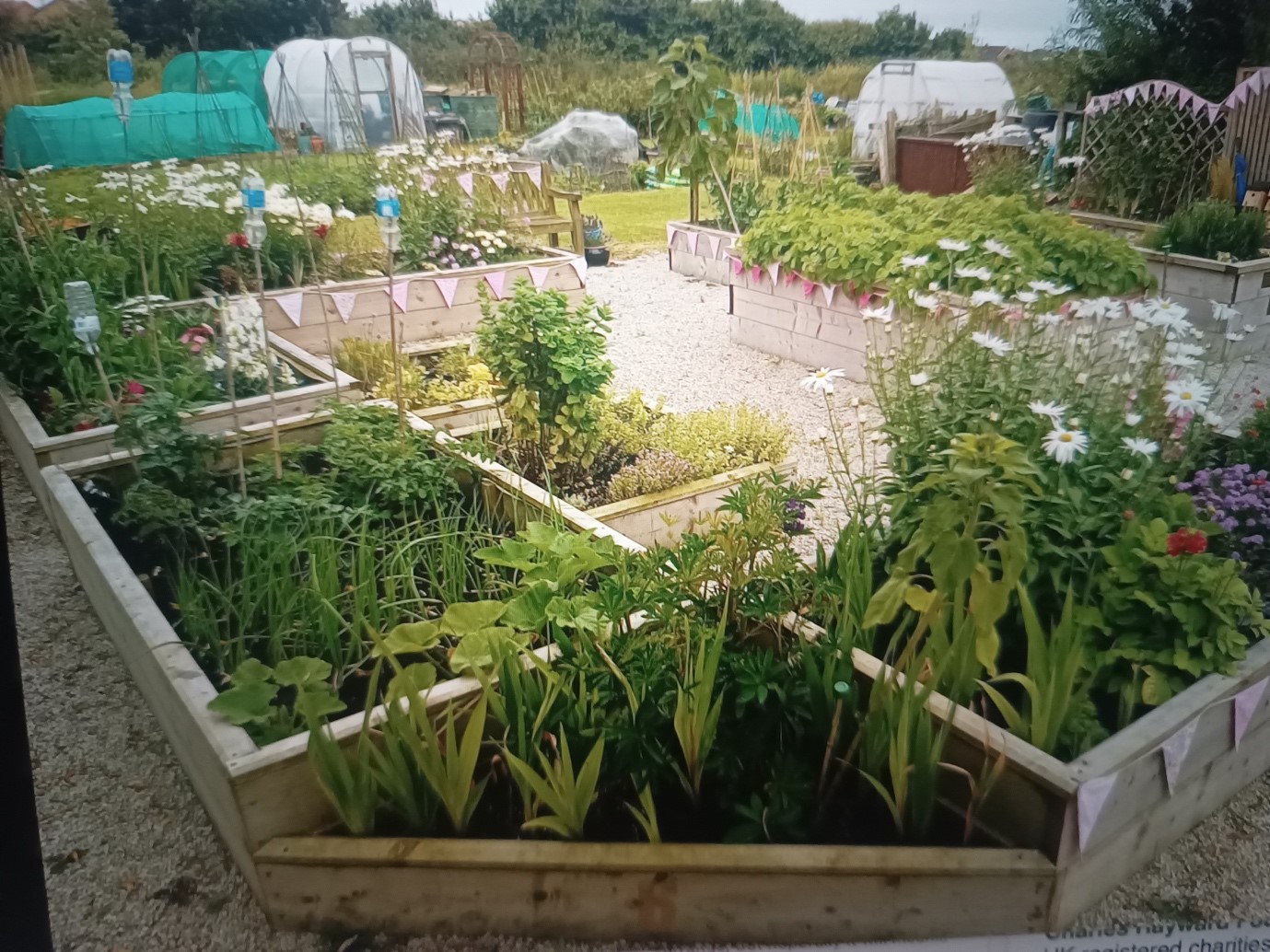 HASSRA Garden 01