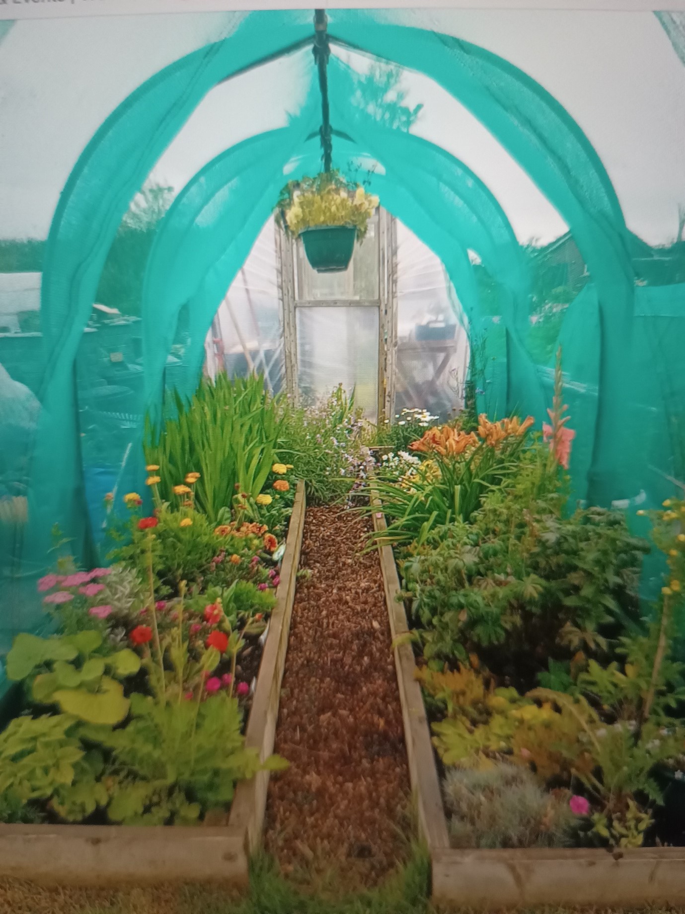 HASSRA Garden 04