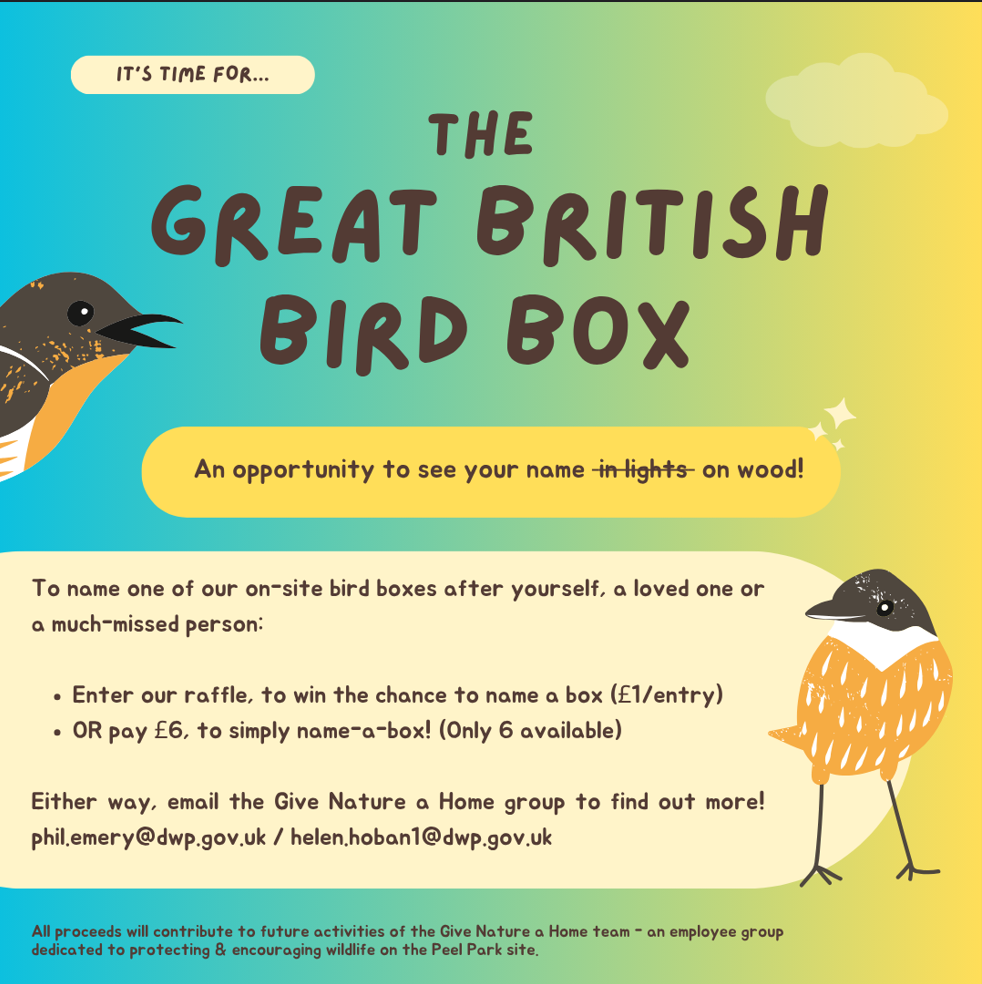 GNAH Bird Box
