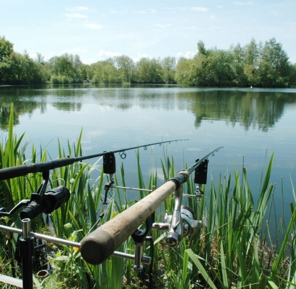 HL angling