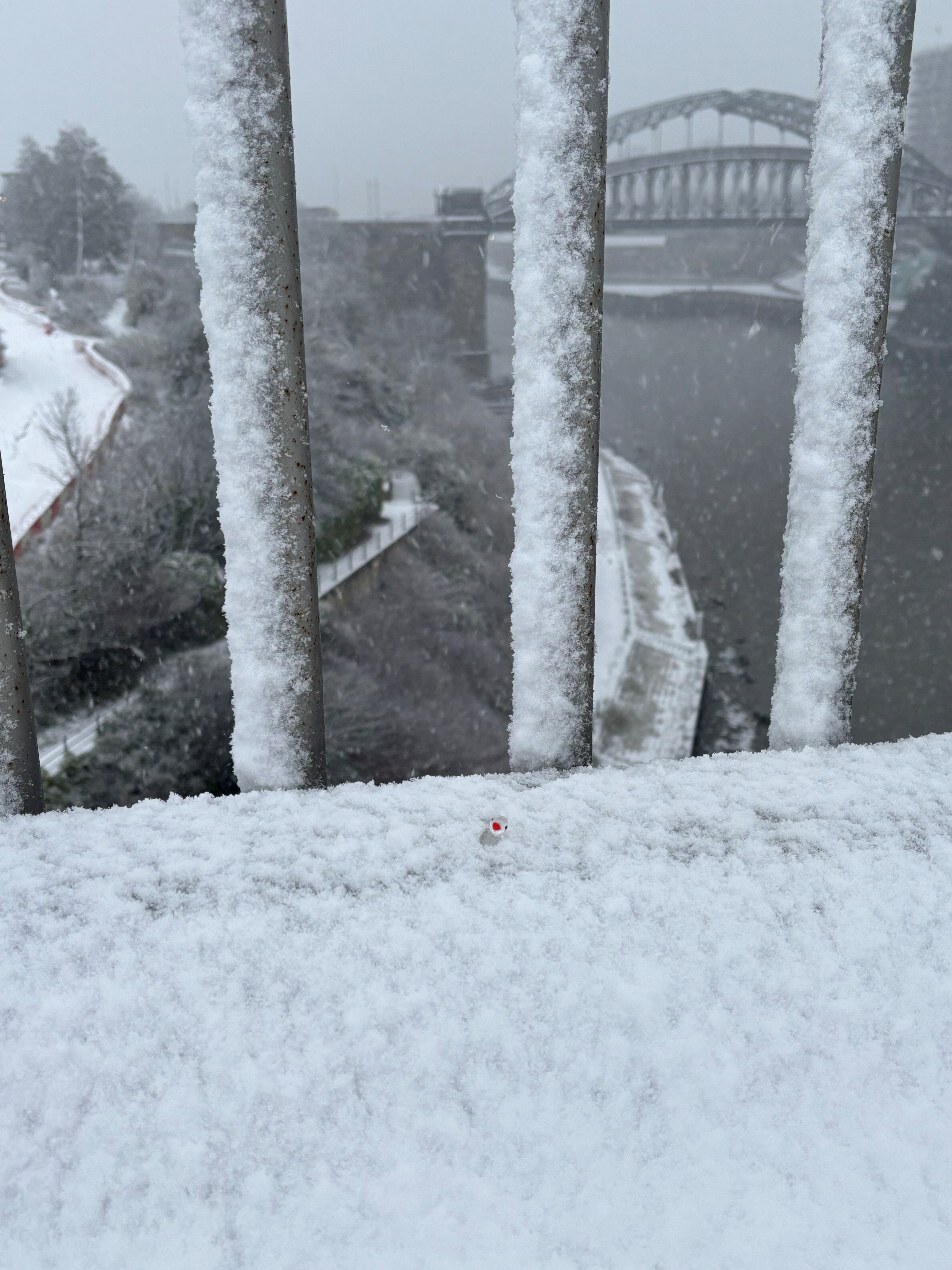 CHERYL SCHONEWALD - Daisy Duck