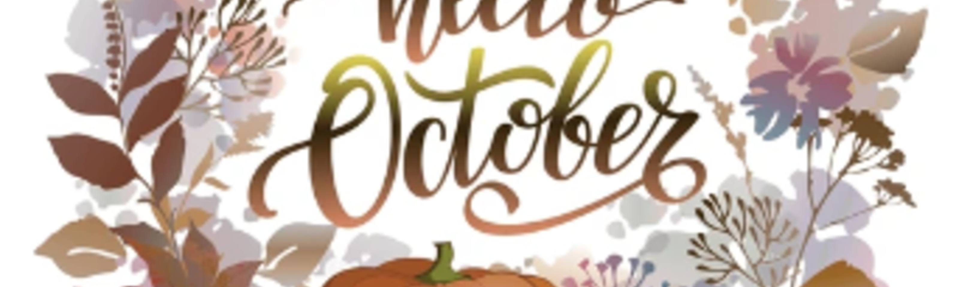 November & December Prize Draw