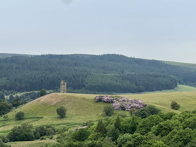 Peak District - Derwent, Strines & Boots Folly June 2023