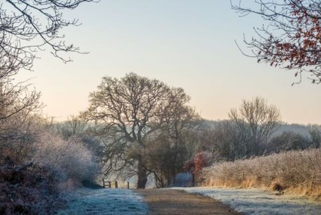 Christmas Walk Coneysthorpe Saturday 13 December