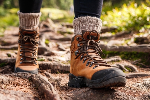 terrain walking