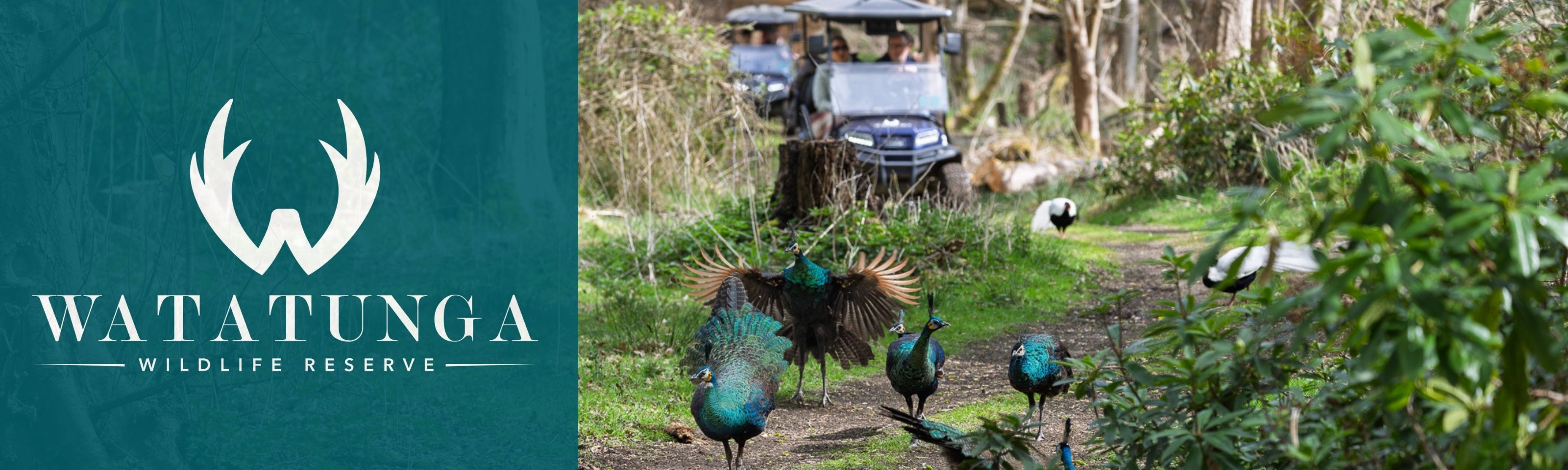 Watatunga Wildlife Reserve