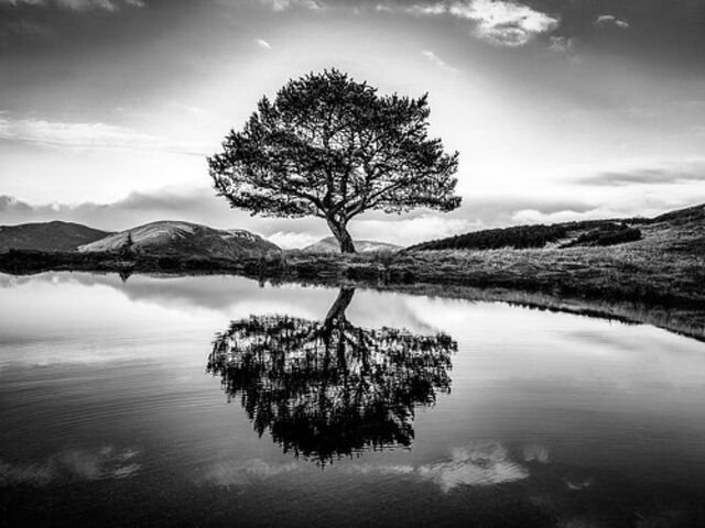 Photography Competition 2025