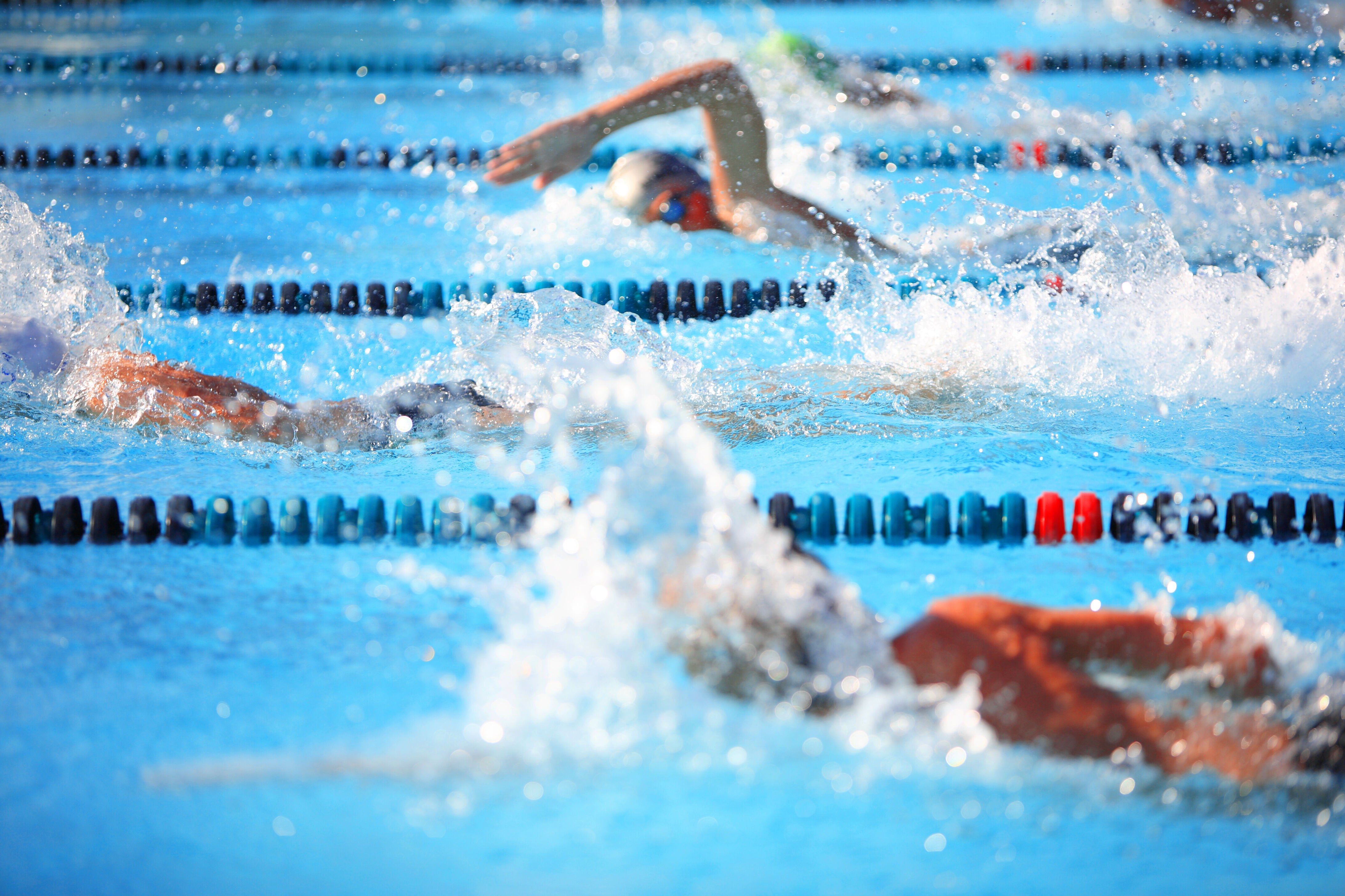 Swimmers shutterstock_106533593