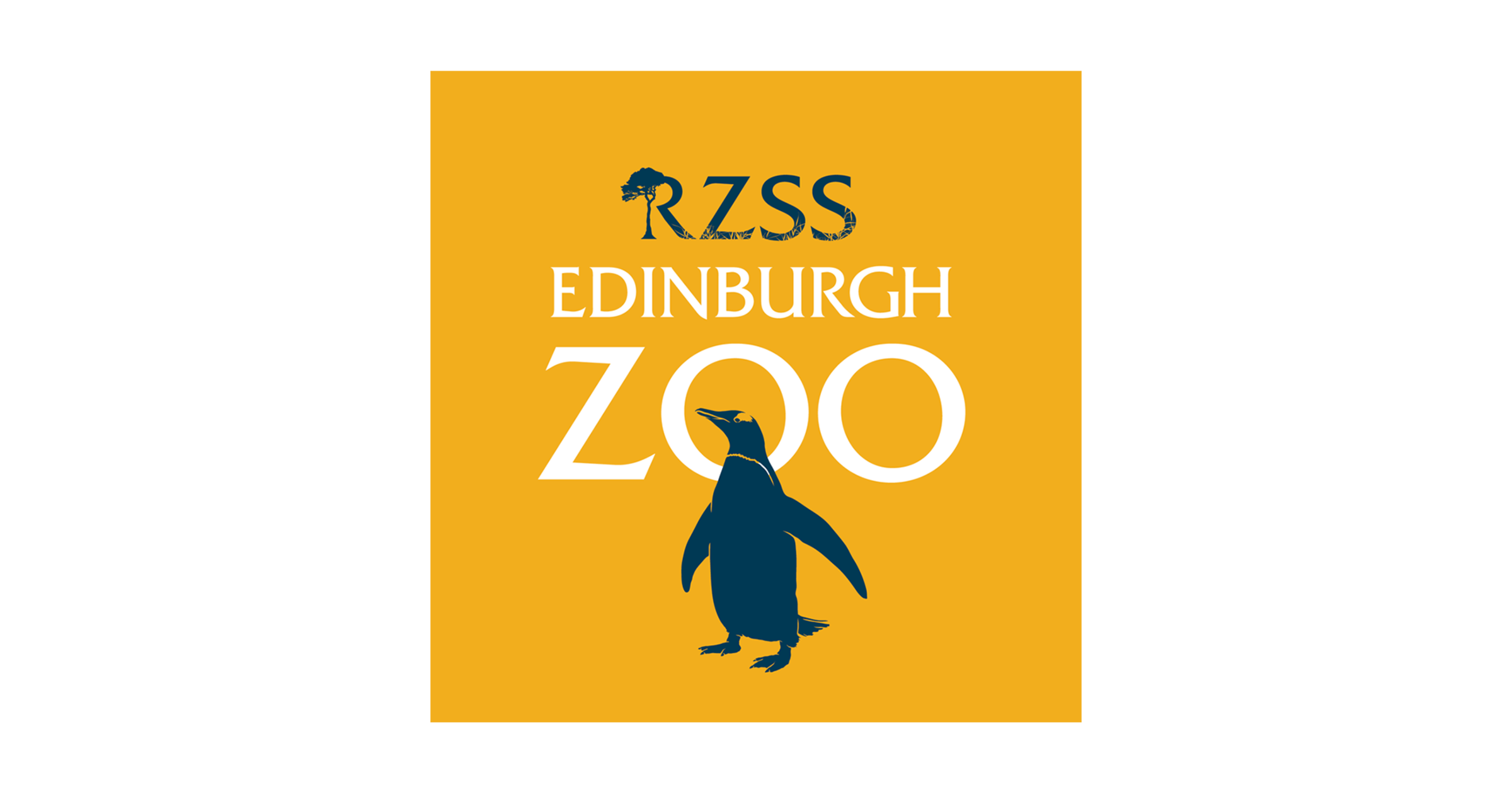 Edinburgh Zoo Adult