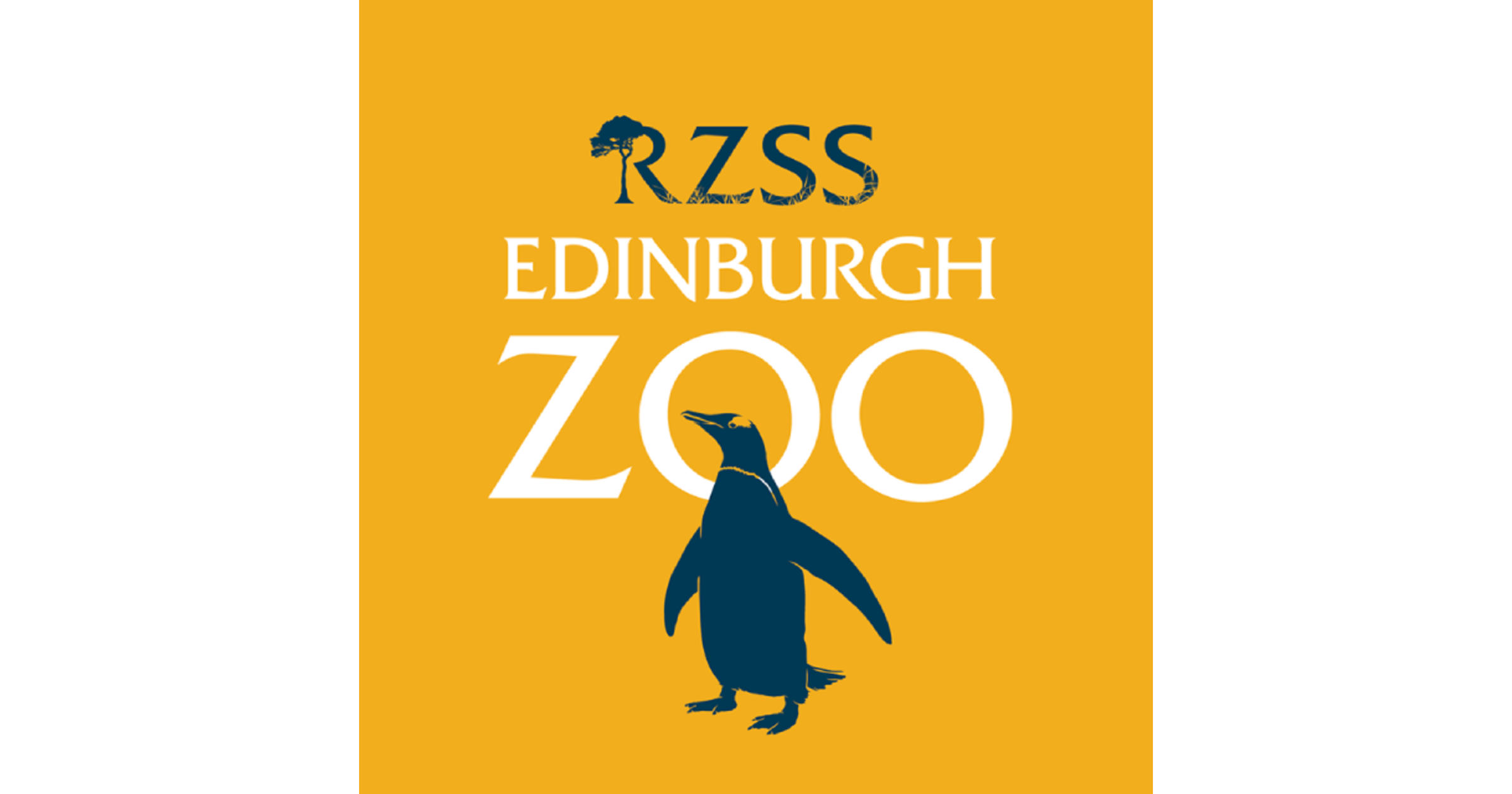 Edinburgh Zoo