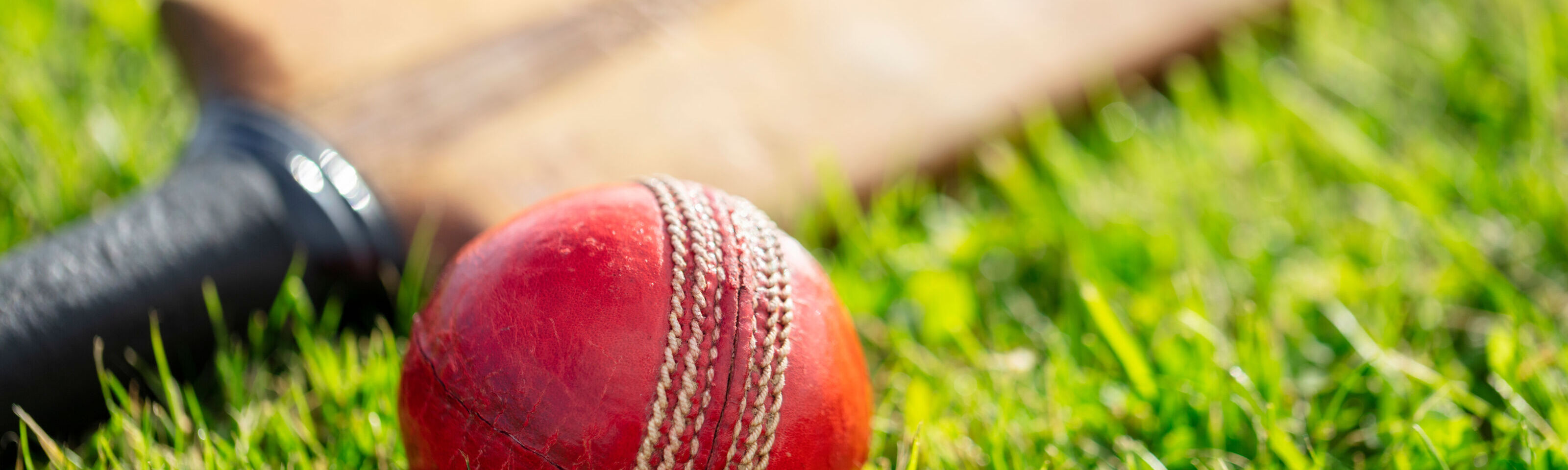 T20 cricket Derbyshire Falcons vs Yorkshire Vikings