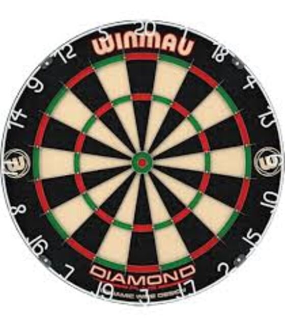 Darts Qualifier for September Festival