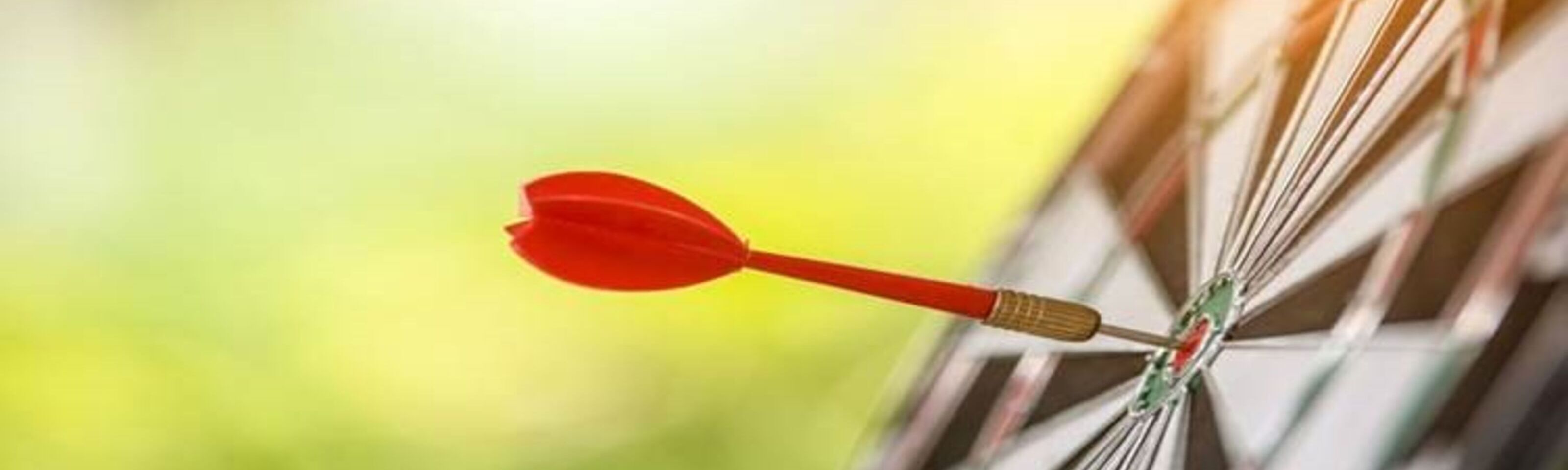 Regional Darts Competition - Friday 13th June