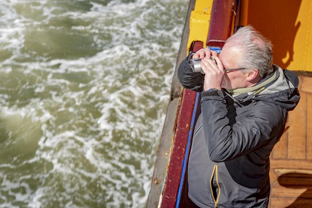 Mersey Ferries Bird Watching and Wildlife Cruise with RSPB