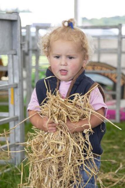 Royal Lancashire Horticultural Show Rebate Offer