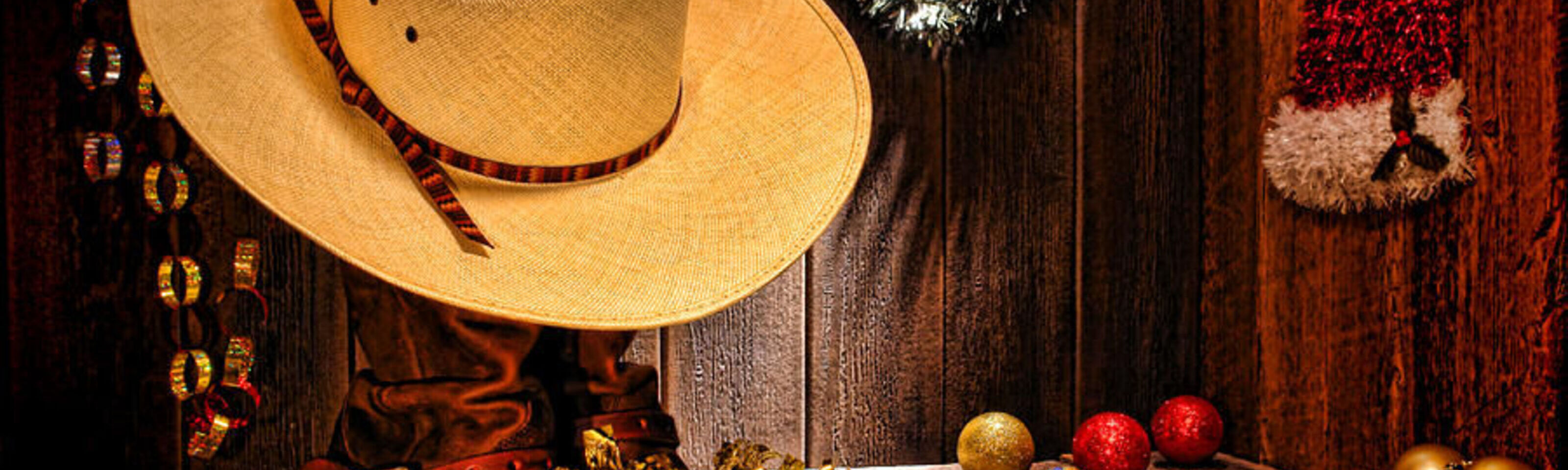 HASSRA Fylde Christmas Party Night