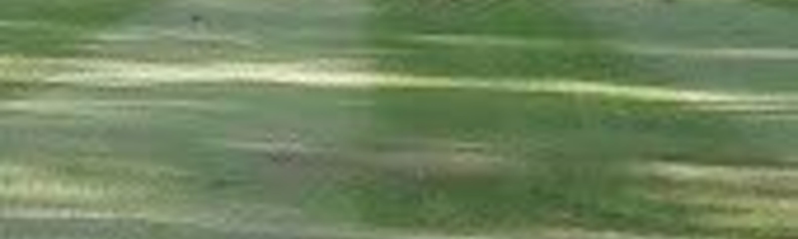 Golf Day and Golf Qualifier