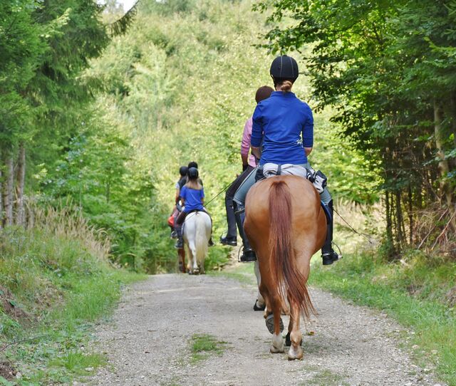 Horse Riding Event