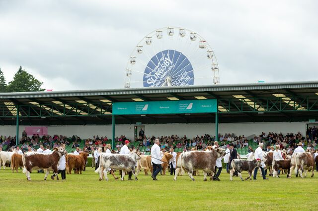 Great Yorkshire Show 2024