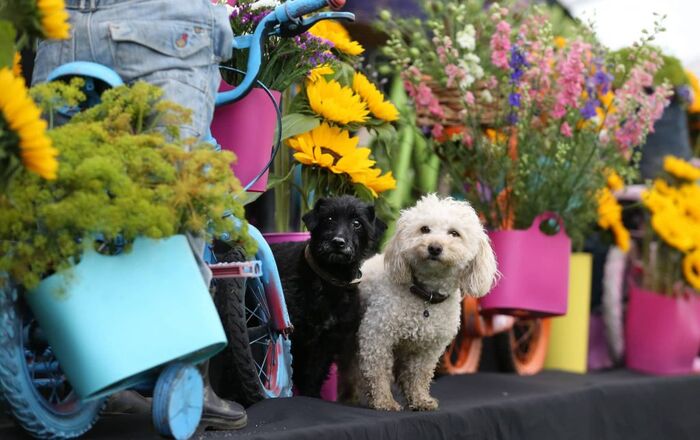 Southport-Flower-Show-Victoria-Park-1024x645