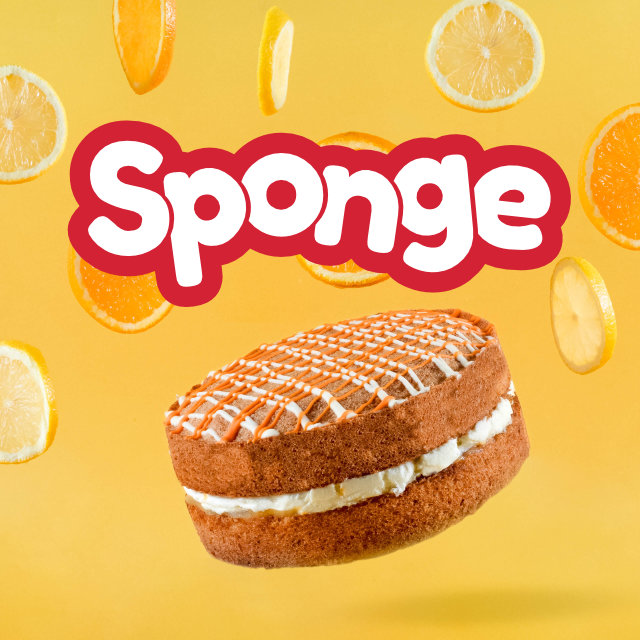 Sponge