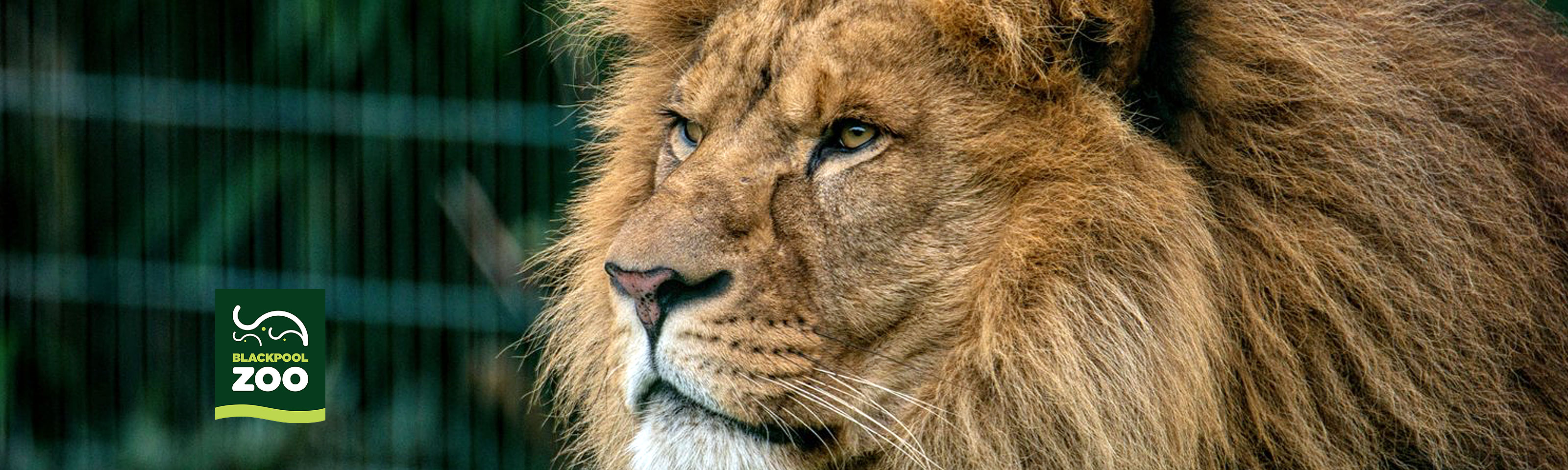 Blackpool Zoo Adult