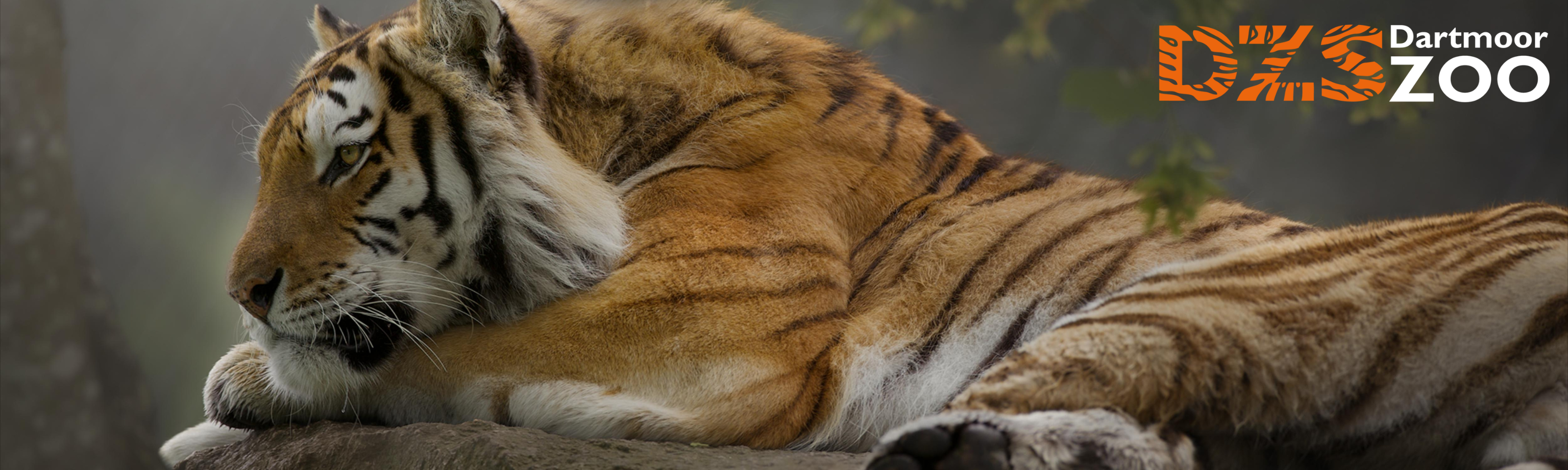 Dartmoor Zoo