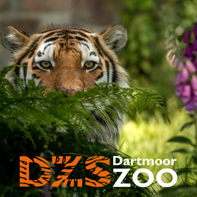 Dartmoor Zoo