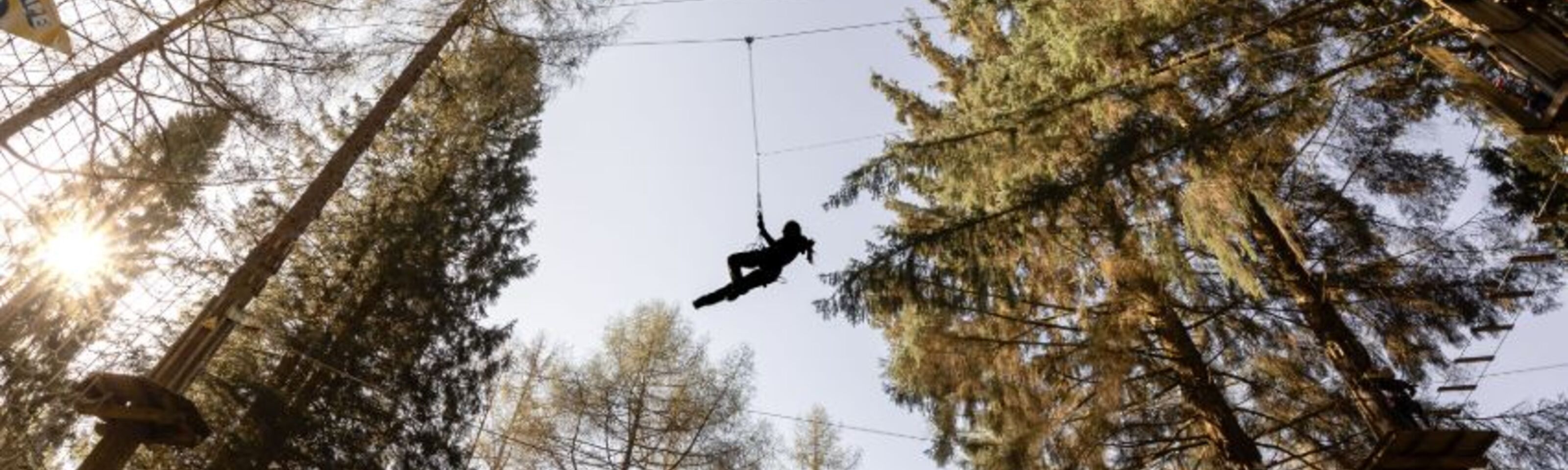 Go Ape
