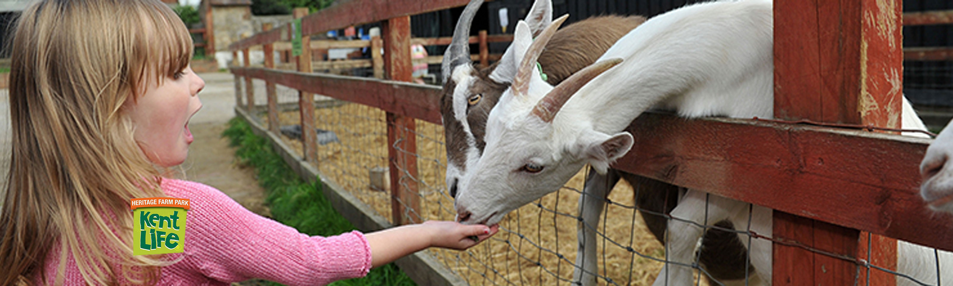 Kent Life Heritage Farm Park