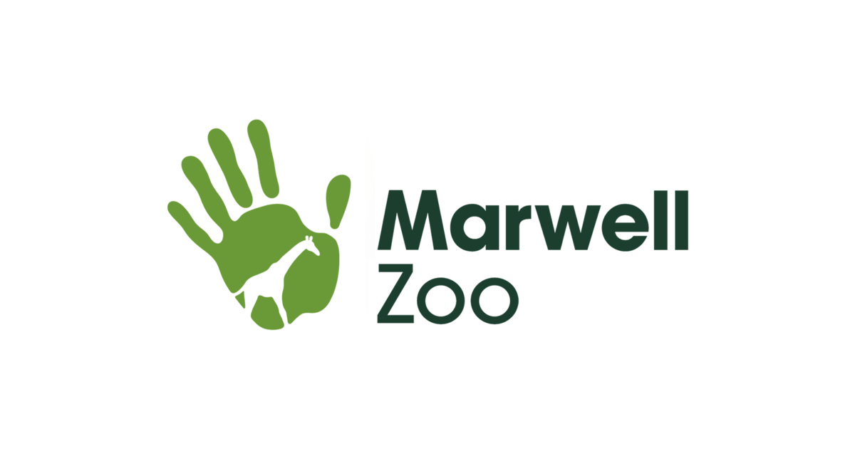 Marwell Zoo Child